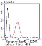 Phospho-SMAD2 (Ser250) Antibody in Flow Cytometry (Flow)