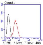 AP2M1 Antibody in Flow Cytometry (Flow)