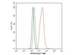 ATF5 Antibody in Flow Cytometry (Flow)