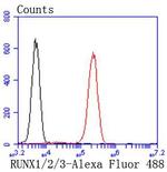 RUNX1/RUNX2/RUNX3 Antibody in Flow Cytometry (Flow)