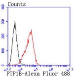 PTP1B Antibody in Flow Cytometry (Flow)