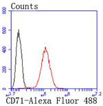 CD71 (Transferrin Receptor) Antibody in Flow Cytometry (Flow)