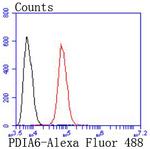 PDIA6 Antibody in Flow Cytometry (Flow)