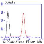 S100A6 Antibody in Flow Cytometry (Flow)