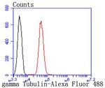 gamma Tubulin Antibody in Flow Cytometry (Flow)