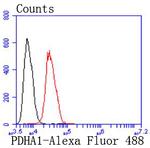 PDHA1 Antibody in Flow Cytometry (Flow)