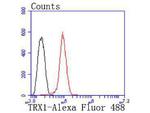 Thioredoxin 1 Antibody in Flow Cytometry (Flow)