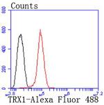 Thioredoxin 1 Antibody in Flow Cytometry (Flow)