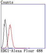 S1P1 Antibody in Flow Cytometry (Flow)