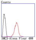 SMC3 Antibody in Flow Cytometry (Flow)