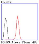 FGFR3 Antibody in Flow Cytometry (Flow)