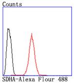 SDHA Antibody in Flow Cytometry (Flow)