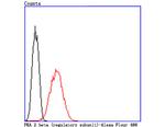 PRKAR2B Antibody in Flow Cytometry (Flow)