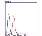 NFATC1 Antibody in Flow Cytometry (Flow)