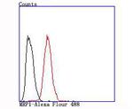 MRP1 Antibody in Flow Cytometry (Flow)