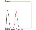 GOLPH2 Antibody in Flow Cytometry (Flow)