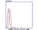 SPHK1 Antibody in Flow Cytometry (Flow)