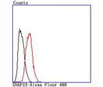 SNAP23 Antibody in Flow Cytometry (Flow)