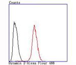 Dynamin 2 Antibody in Flow Cytometry (Flow)