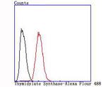 Thymidylate Synthase Antibody in Flow Cytometry (Flow)