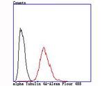 TUBA4A Antibody in Flow Cytometry (Flow)