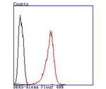 DDX5 Antibody in Flow Cytometry (Flow)