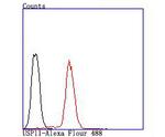 USP11 Antibody in Flow Cytometry (Flow)