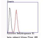 PDHB Antibody in Flow Cytometry (Flow)