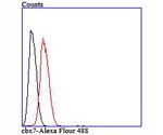 CBX7 Antibody in Flow Cytometry (Flow)