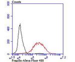 IFITM3 Antibody in Flow Cytometry (Flow)