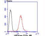 LOX Antibody in Flow Cytometry (Flow)