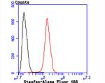 Staufen Antibody in Flow Cytometry (Flow)