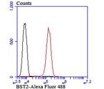 CD317 (BST2, PDCA-1) Antibody in Flow Cytometry (Flow)