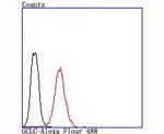 GCLC Antibody in Flow Cytometry (Flow)