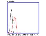 PKC beta-1 Antibody in Flow Cytometry (Flow)