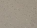 C9orf126 Antibody in Immunohistochemistry (Paraffin) (IHC (P))