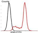 ESD Antibody in Flow Cytometry (Flow)