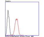 PP2A alpha/beta Antibody in Flow Cytometry (Flow)