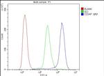 CD2AP Antibody in Flow Cytometry (Flow)