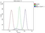 CD2AP Antibody in Flow Cytometry (Flow)