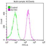 Actin Antibody in Flow Cytometry (Flow)