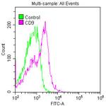 CD9 Antibody in Flow Cytometry (Flow)