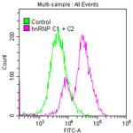 hnRNP C Antibody in Flow Cytometry (Flow)