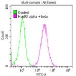 HSP90 alpha/beta Antibody in Flow Cytometry (Flow)