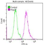 HSP27 Antibody in Flow Cytometry (Flow)