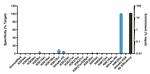 H4K20ac Antibody in ChIP Assay (ChIP)