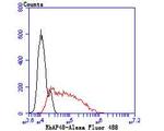 RbAp48 Antibody in Flow Cytometry (Flow)