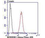 BDKRB2 Antibody in Flow Cytometry (Flow)