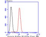 PRKD2 Antibody in Flow Cytometry (Flow)