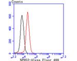 Podocin Antibody in Flow Cytometry (Flow)